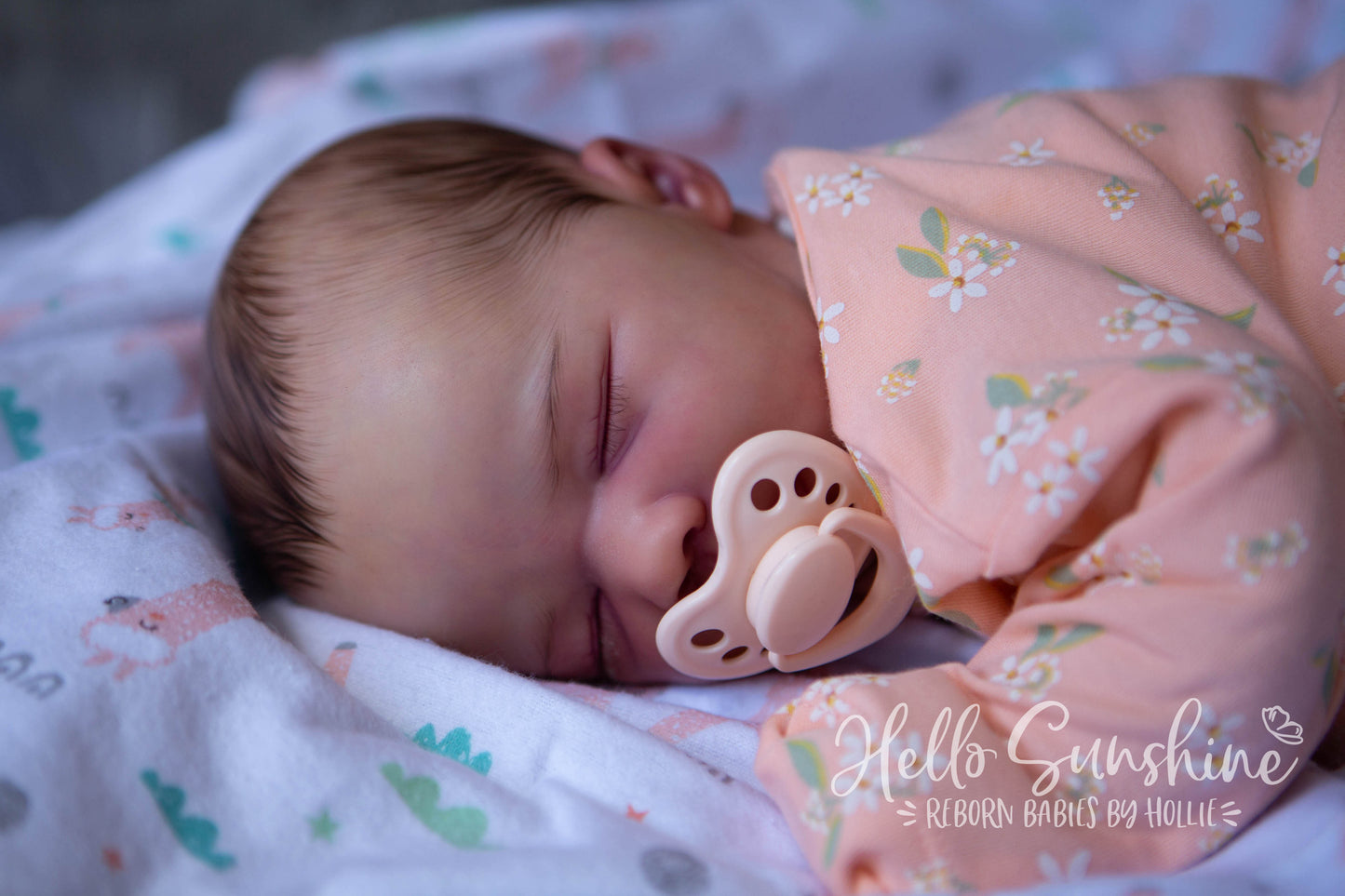 Felicity {Cuddle}
