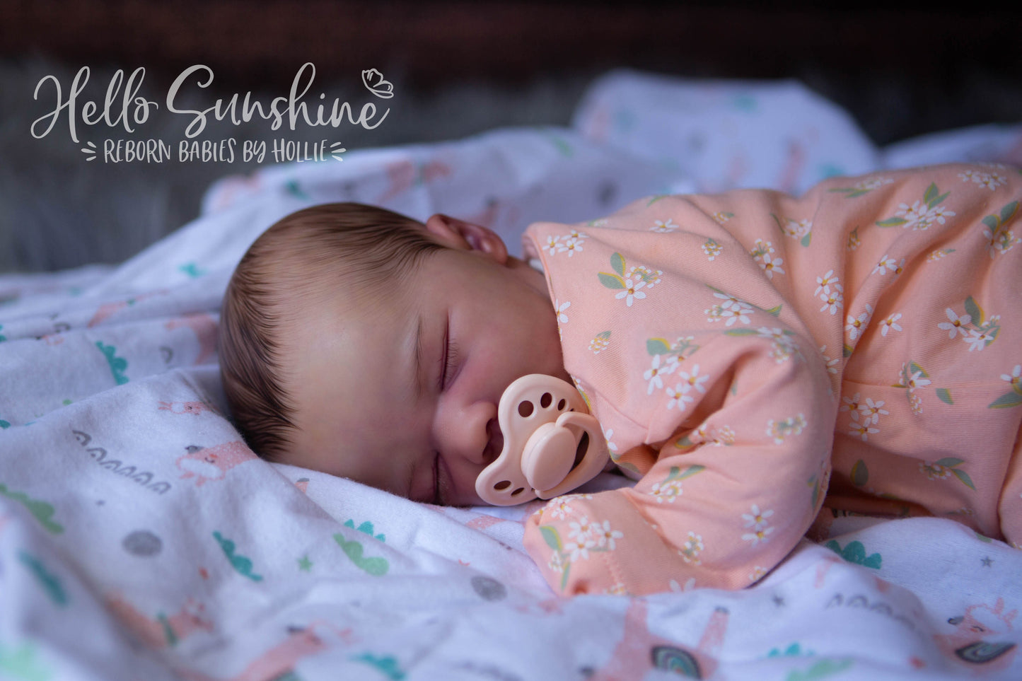 Felicity {Cuddle}
