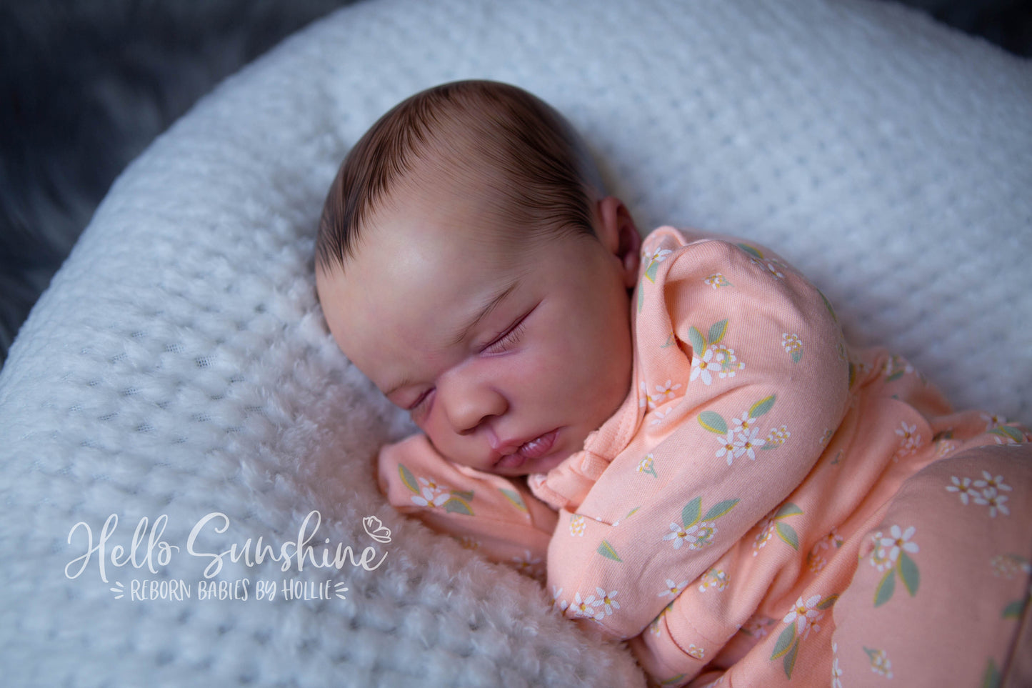 Felicity {Cuddle}