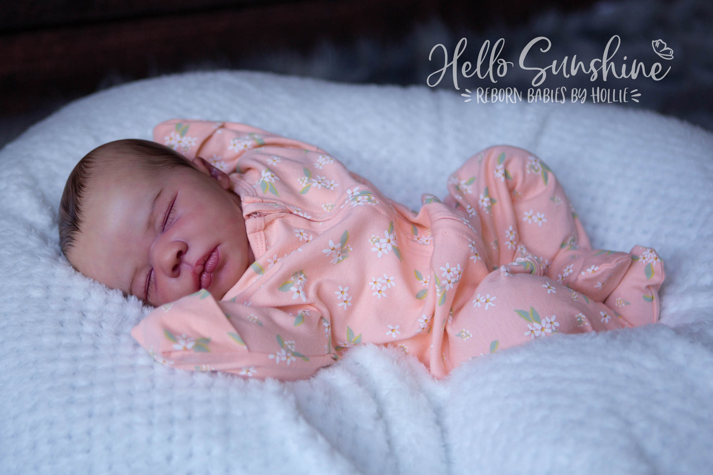 Felicity {Cuddle}