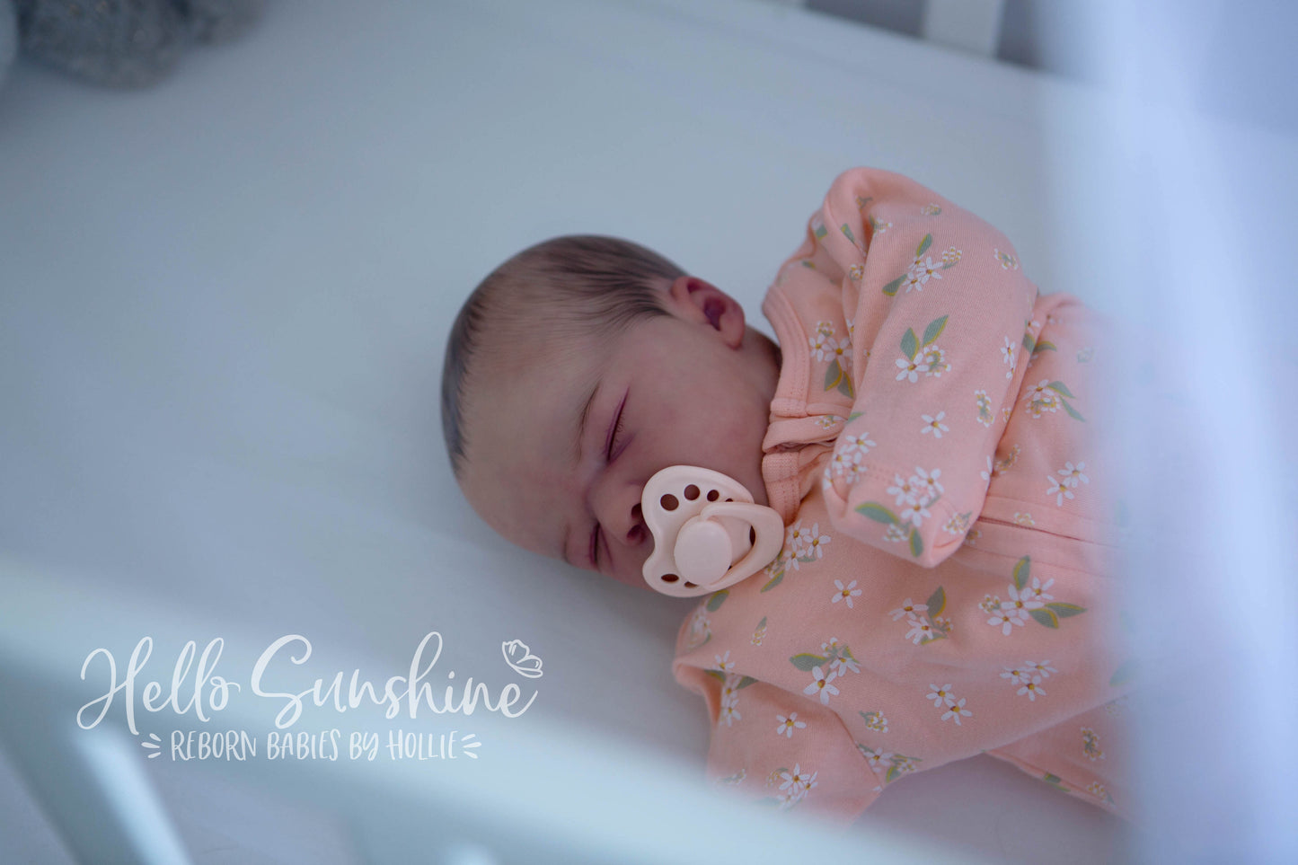 Felicity {Cuddle}