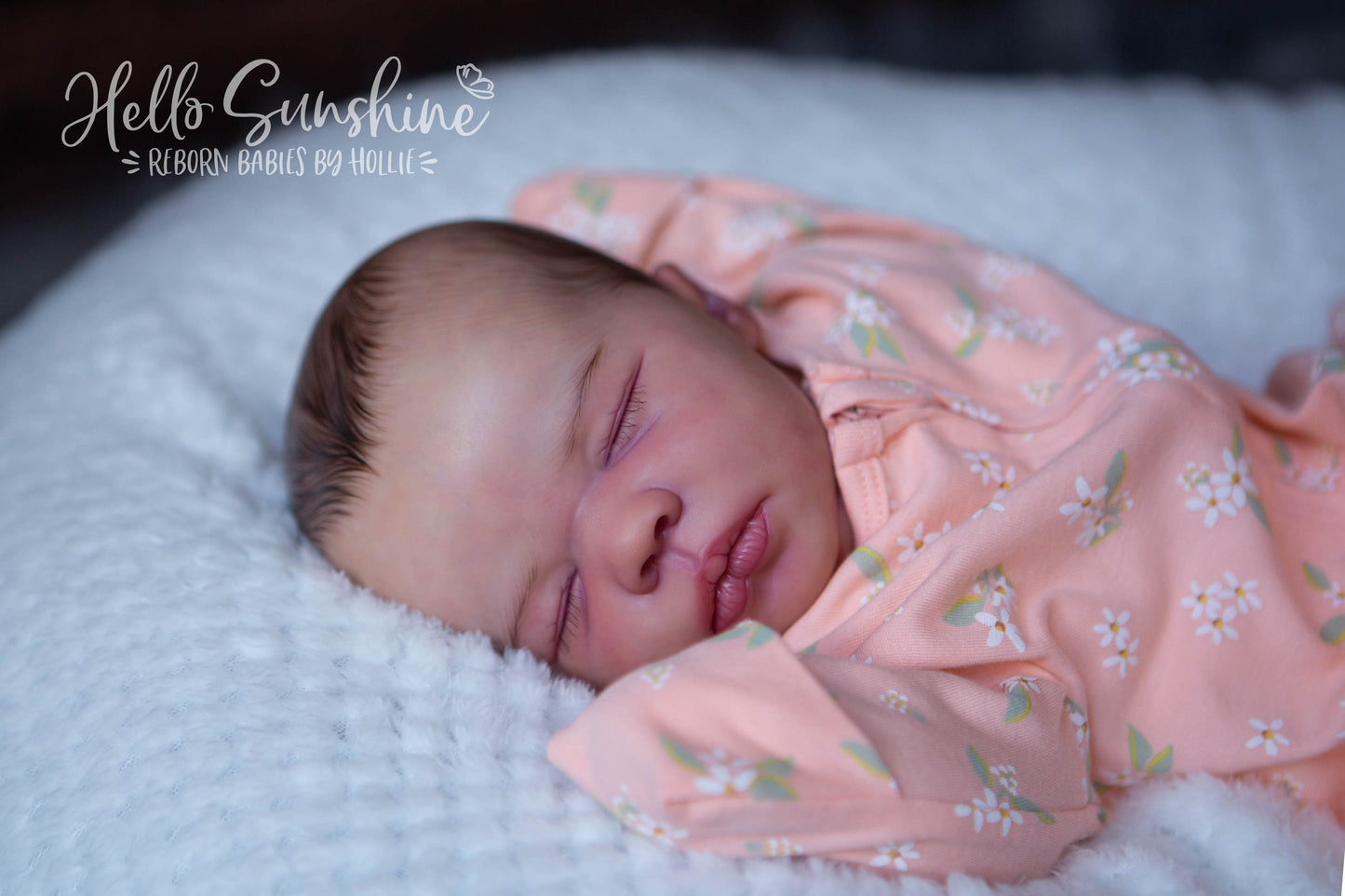 Felicity {Cuddle}