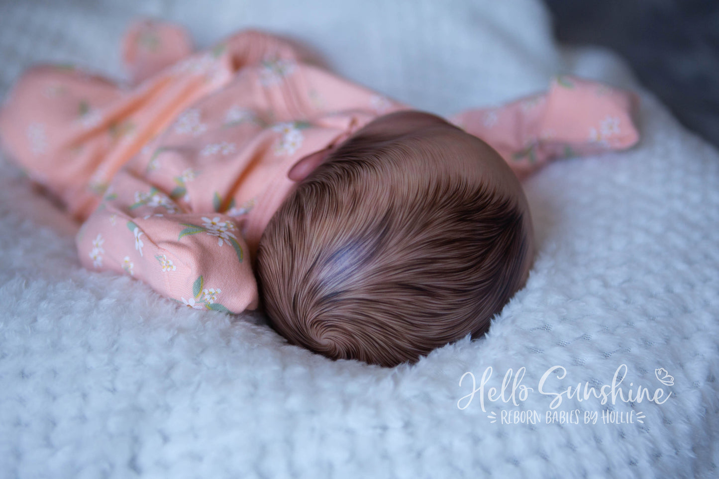 Felicity {Cuddle}