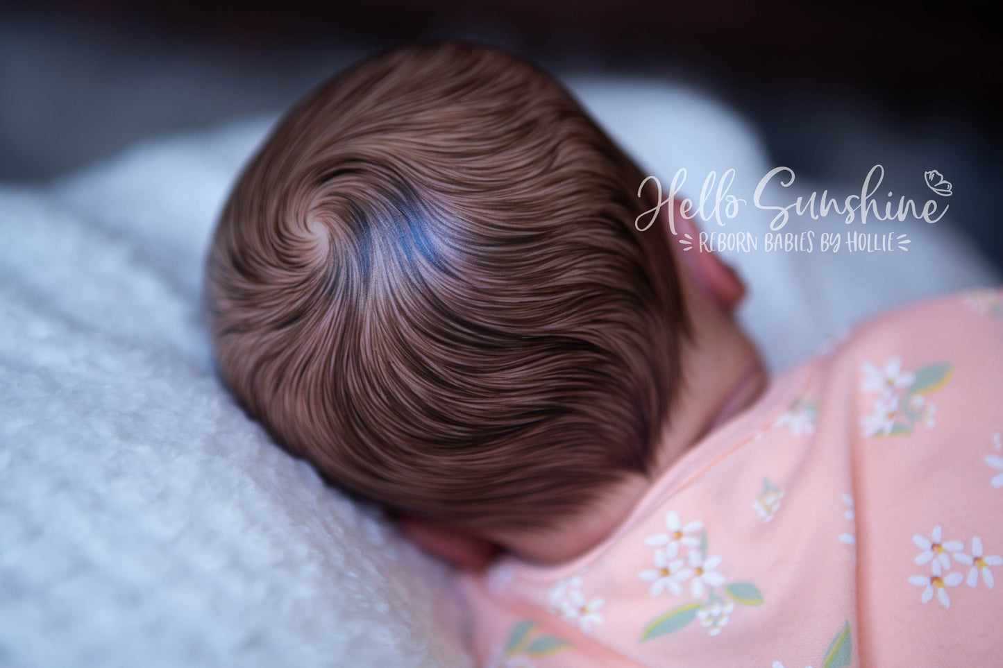 Felicity {Cuddle}