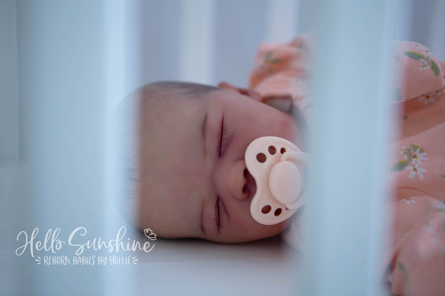 Felicity {Cuddle}