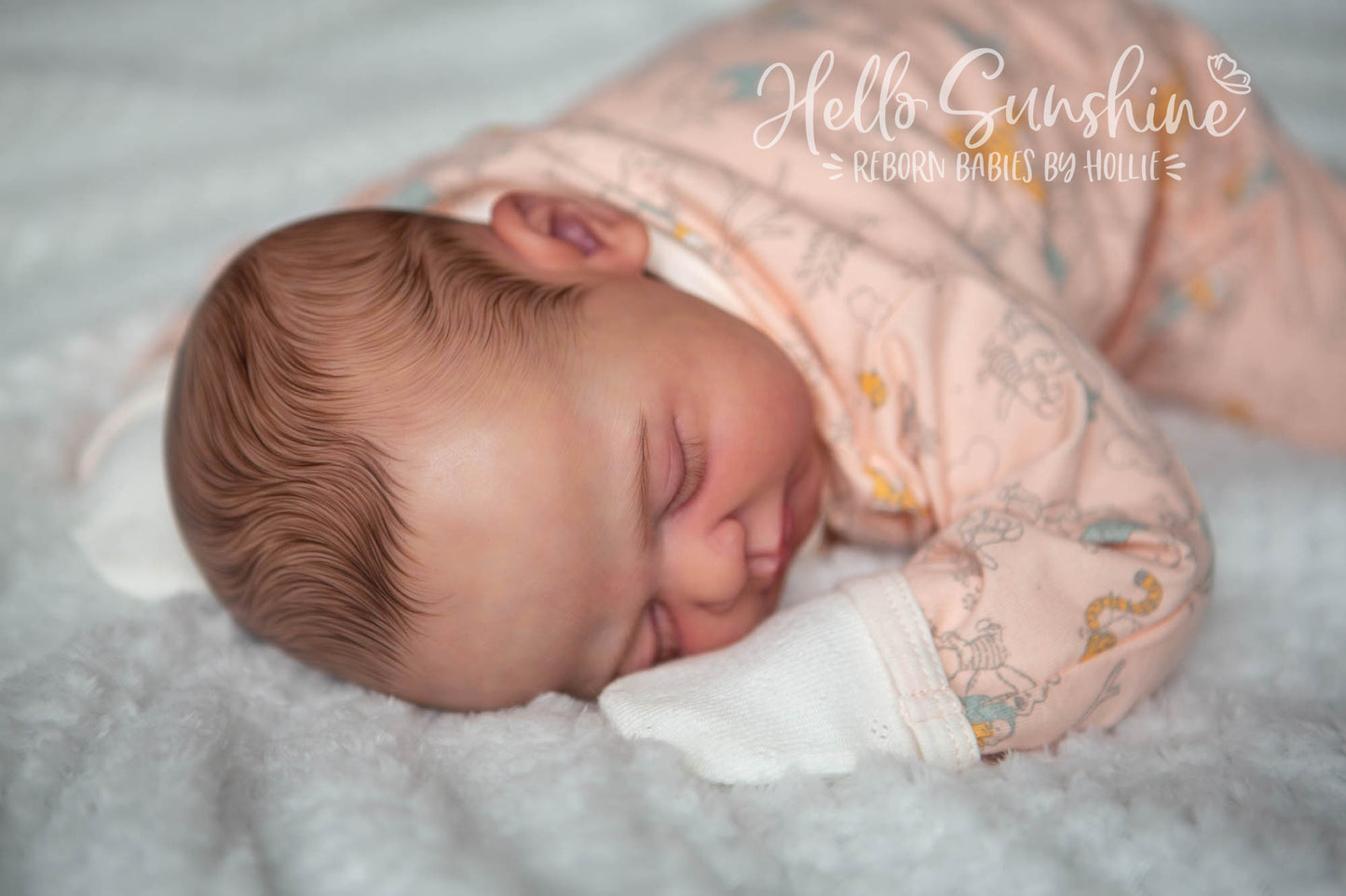 Yleina {Cuddle}