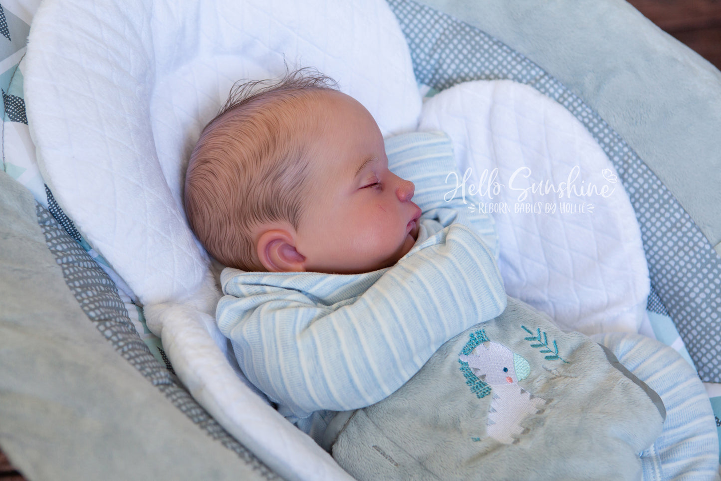 Lydia Asleep {Cuddle}