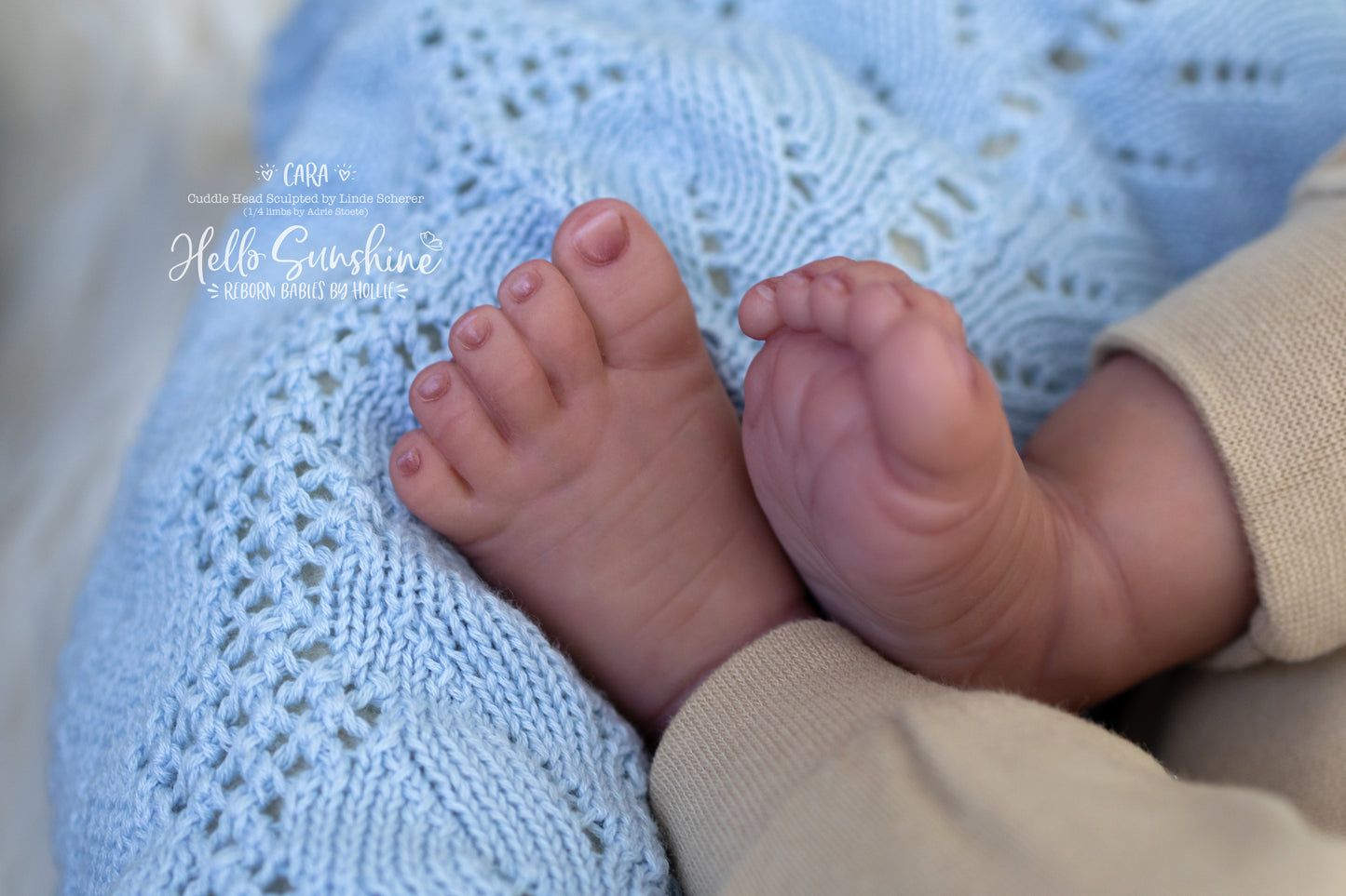 Cara (1/4 Limb Cuddle)