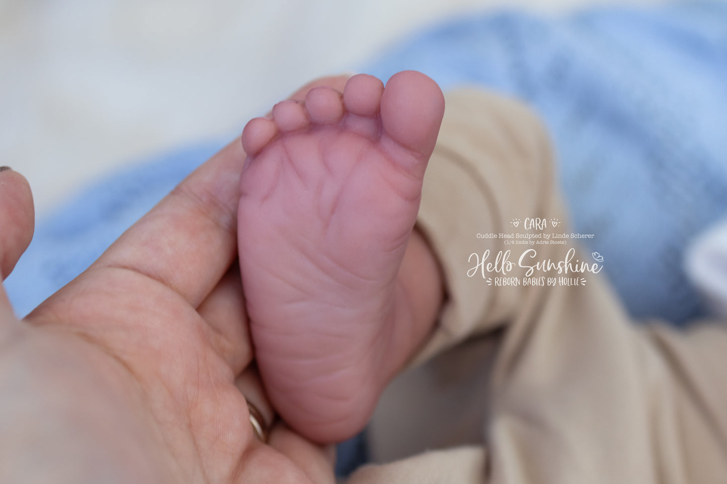 Cara (1/4 Limb Cuddle)