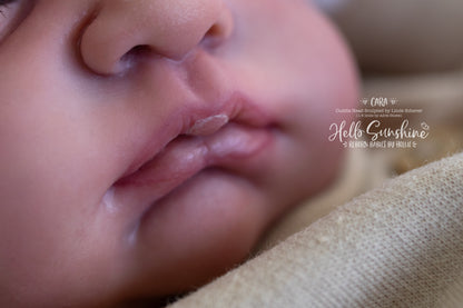 Cara (1/4 Limb Cuddle)