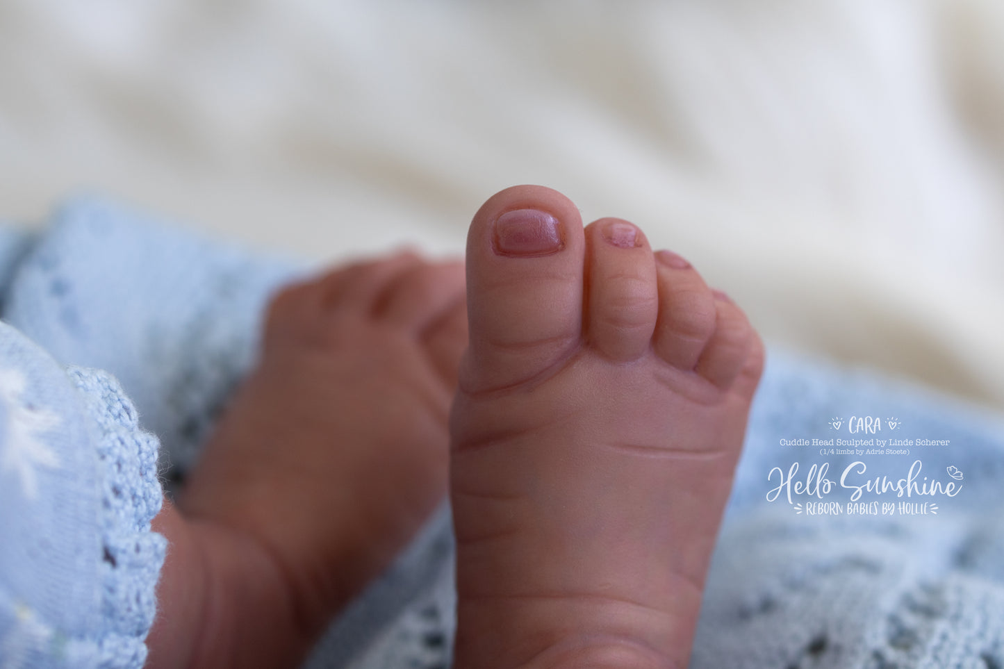 Cara (1/4 Limb Cuddle)