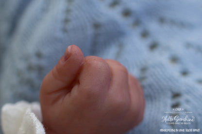 Cara (1/4 Limb Cuddle)