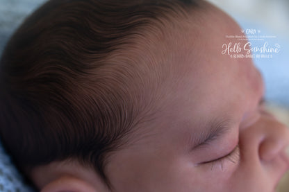 Cara (1/4 Limb Cuddle)