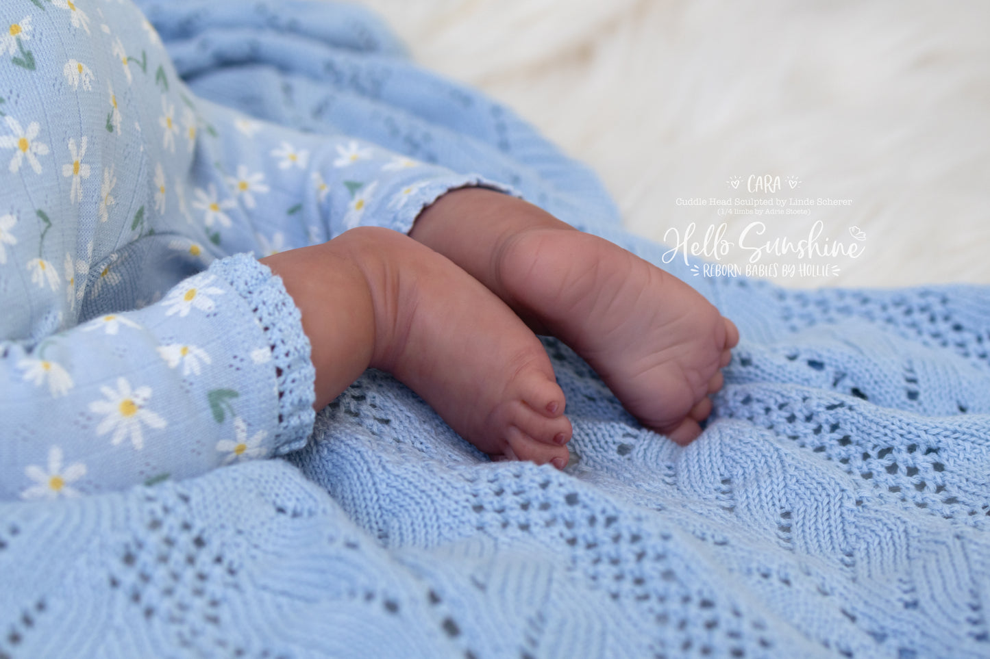 Cara (1/4 Limb Cuddle)