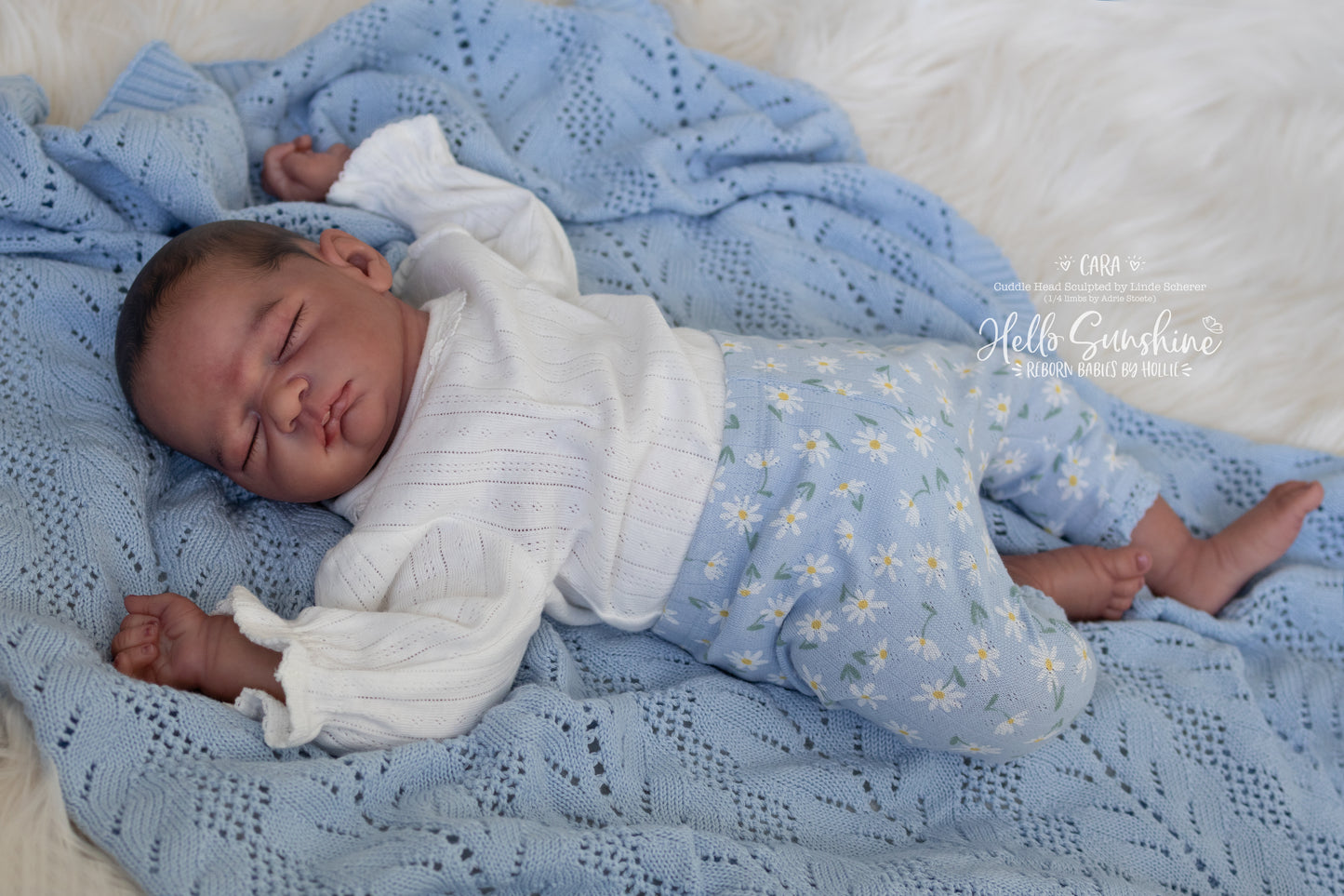 Cara (1/4 Limb Cuddle)