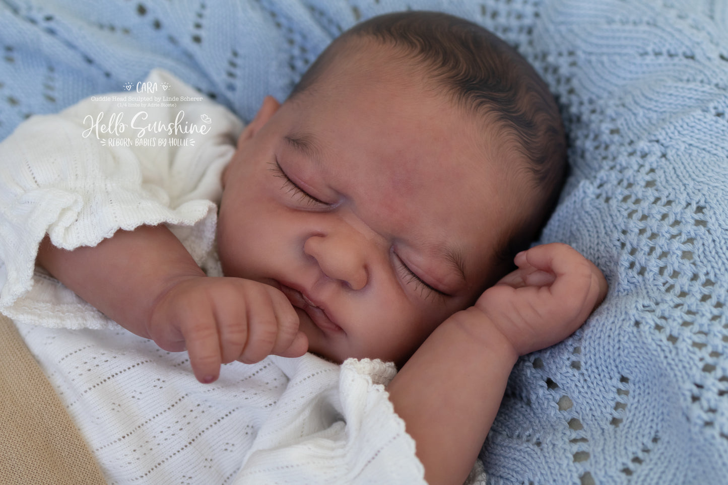 Cara (1/4 Limb Cuddle)