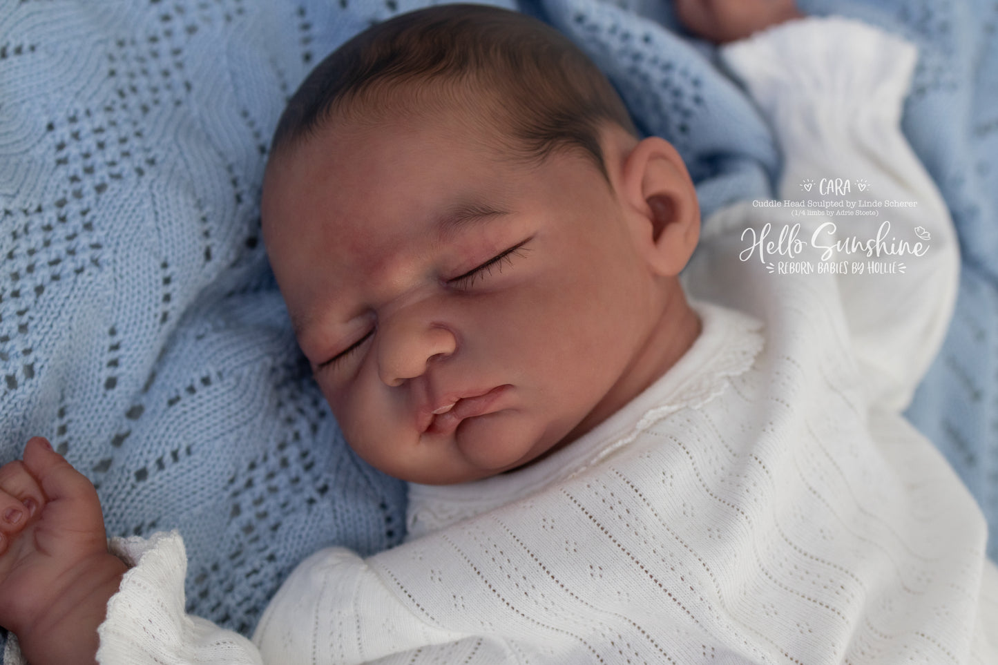 Cara (1/4 Limb Cuddle)