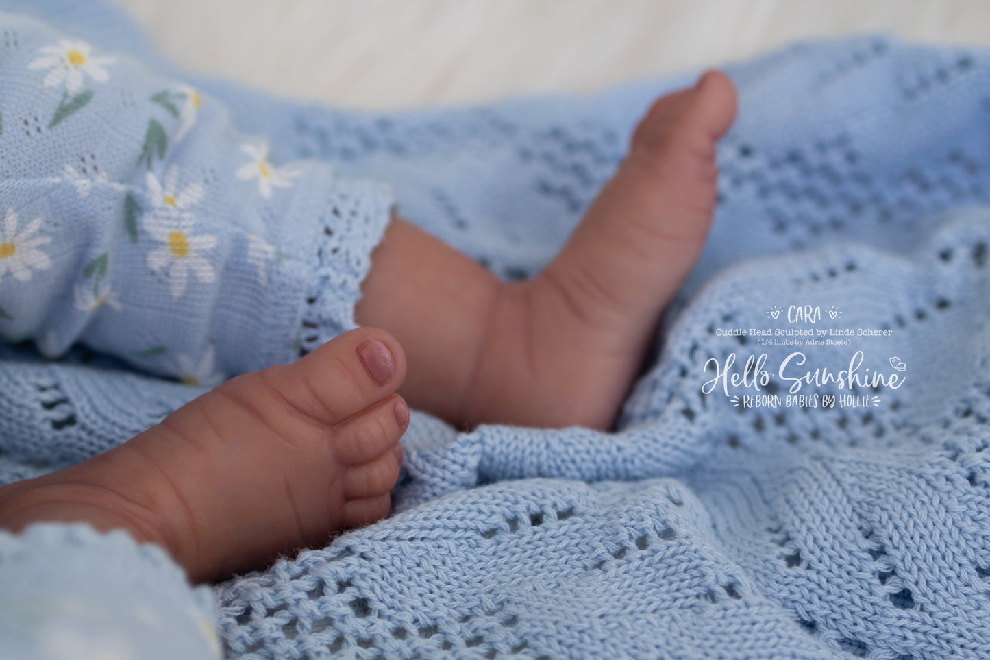 Cara (1/4 Limb Cuddle)