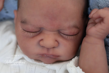 Cara (1/4 Limb Cuddle)