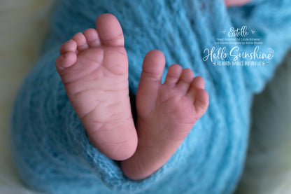 Estelle {1/4 Limb Cuddle}