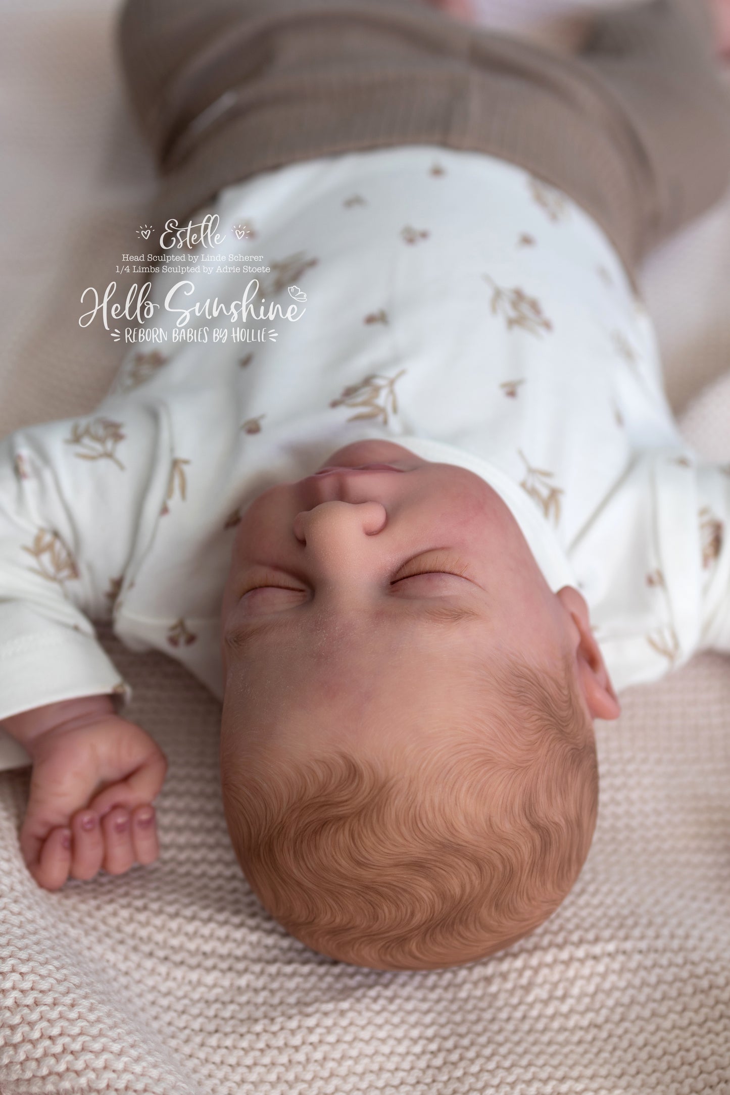 Estelle {1/4 Limb Cuddle}