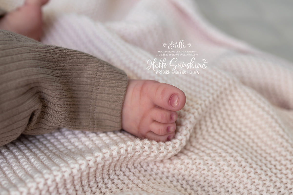 Estelle {1/4 Limb Cuddle}
