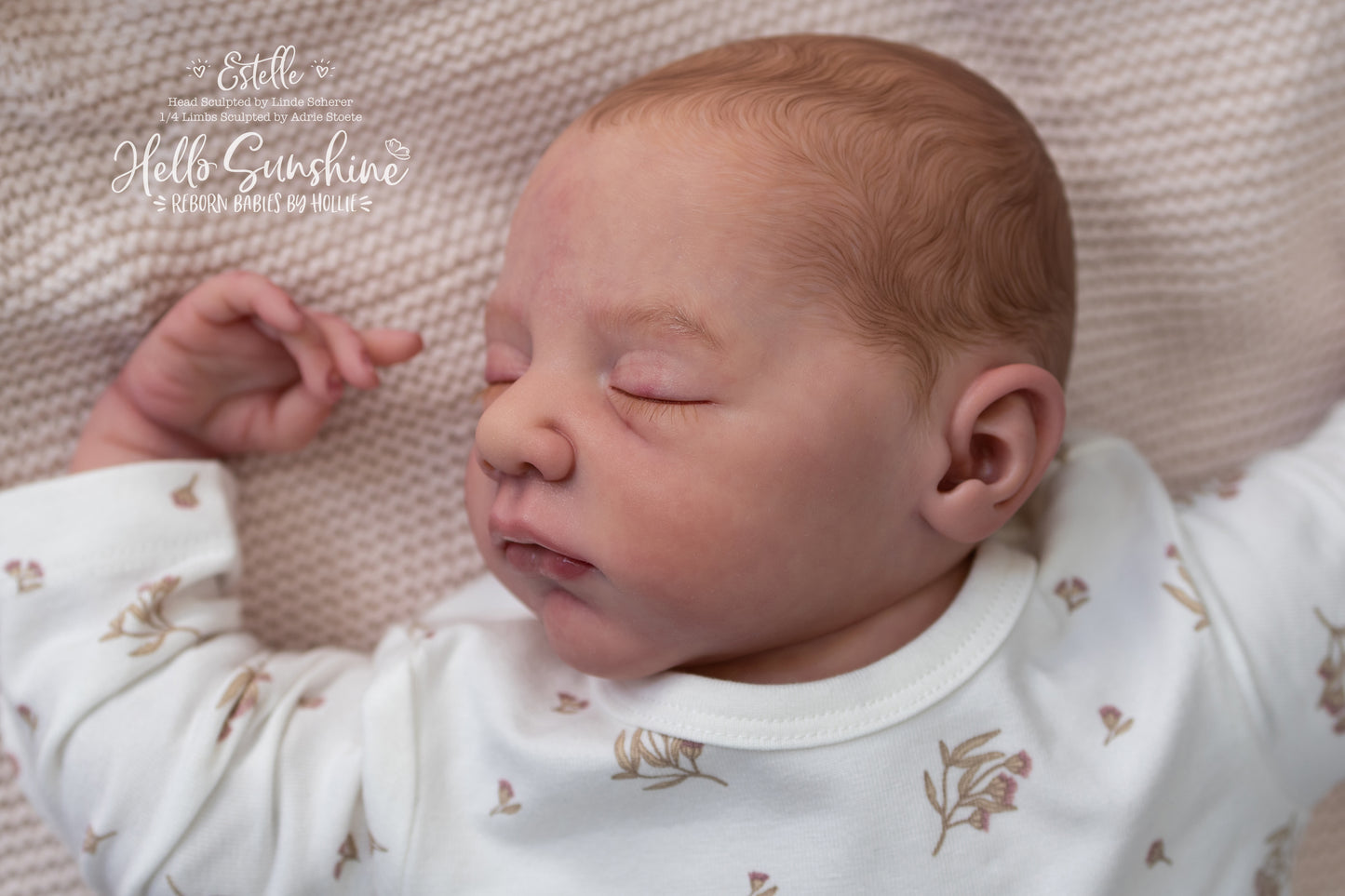 Estelle {1/4 Limb Cuddle}