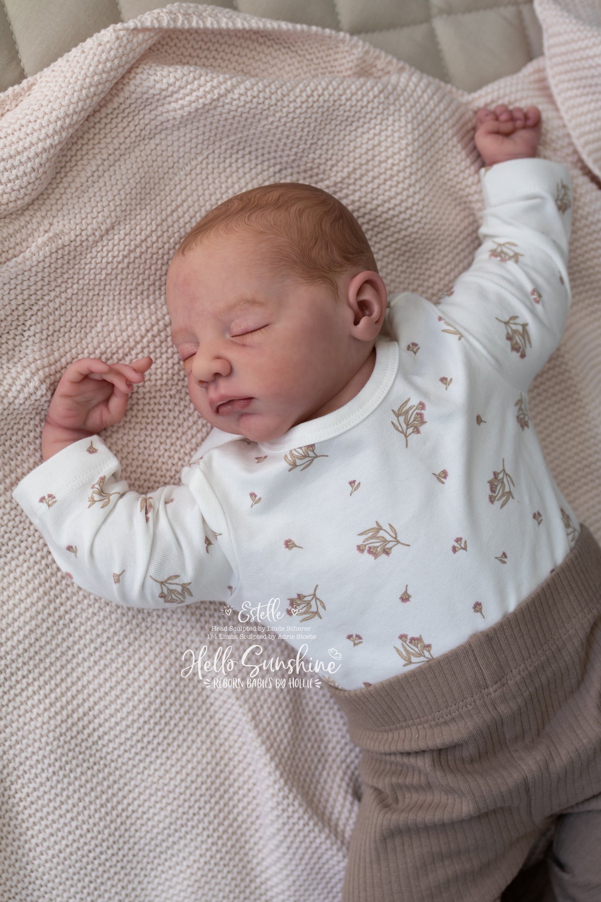Estelle {1/4 Limb Cuddle}