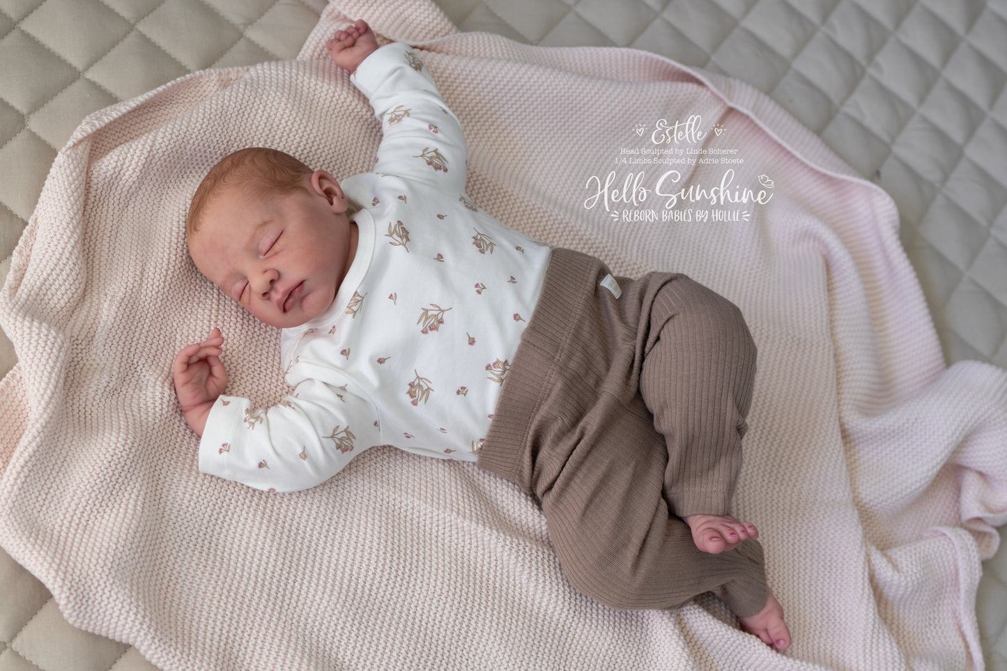 Estelle {1/4 Limb Cuddle}