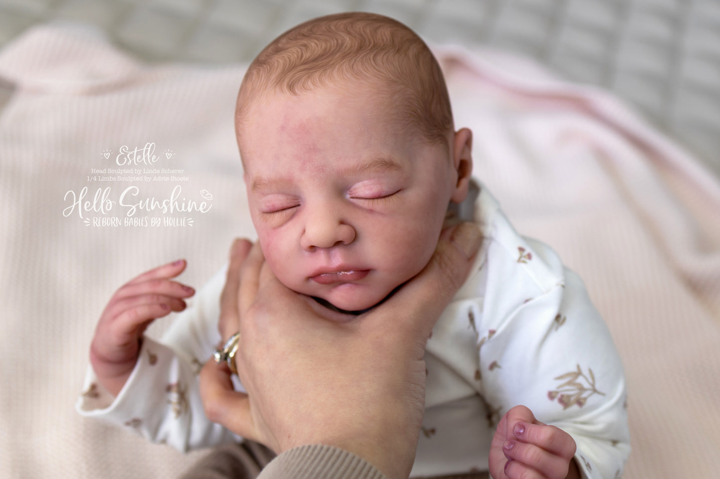 Estelle {1/4 Limb Cuddle}