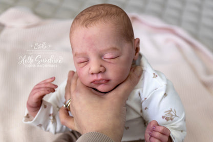 Estelle {1/4 Limb Cuddle}
