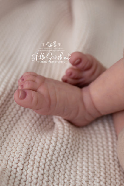 Estelle {1/4 Limb Cuddle}