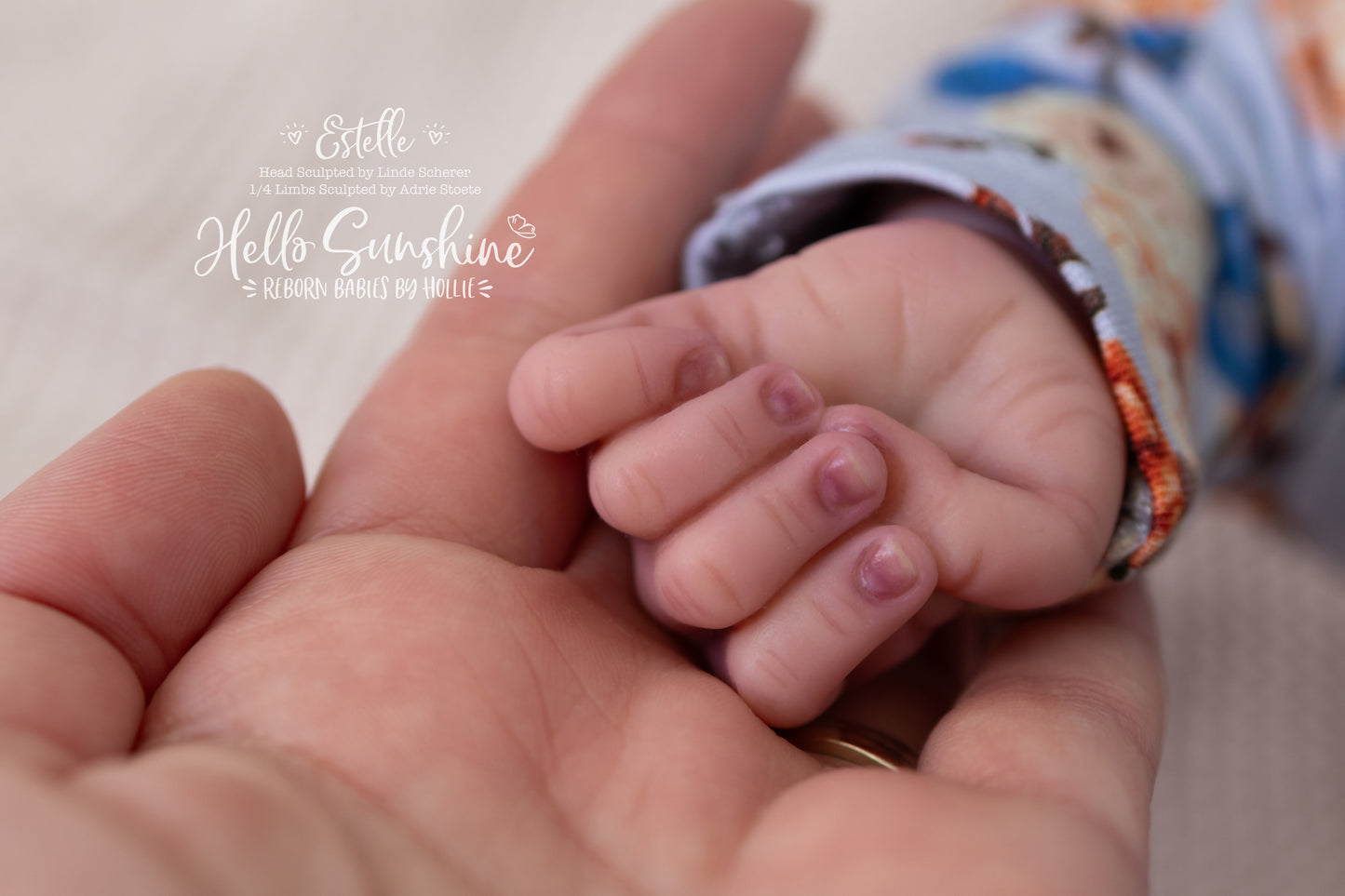 Estelle {1/4 Limb Cuddle}