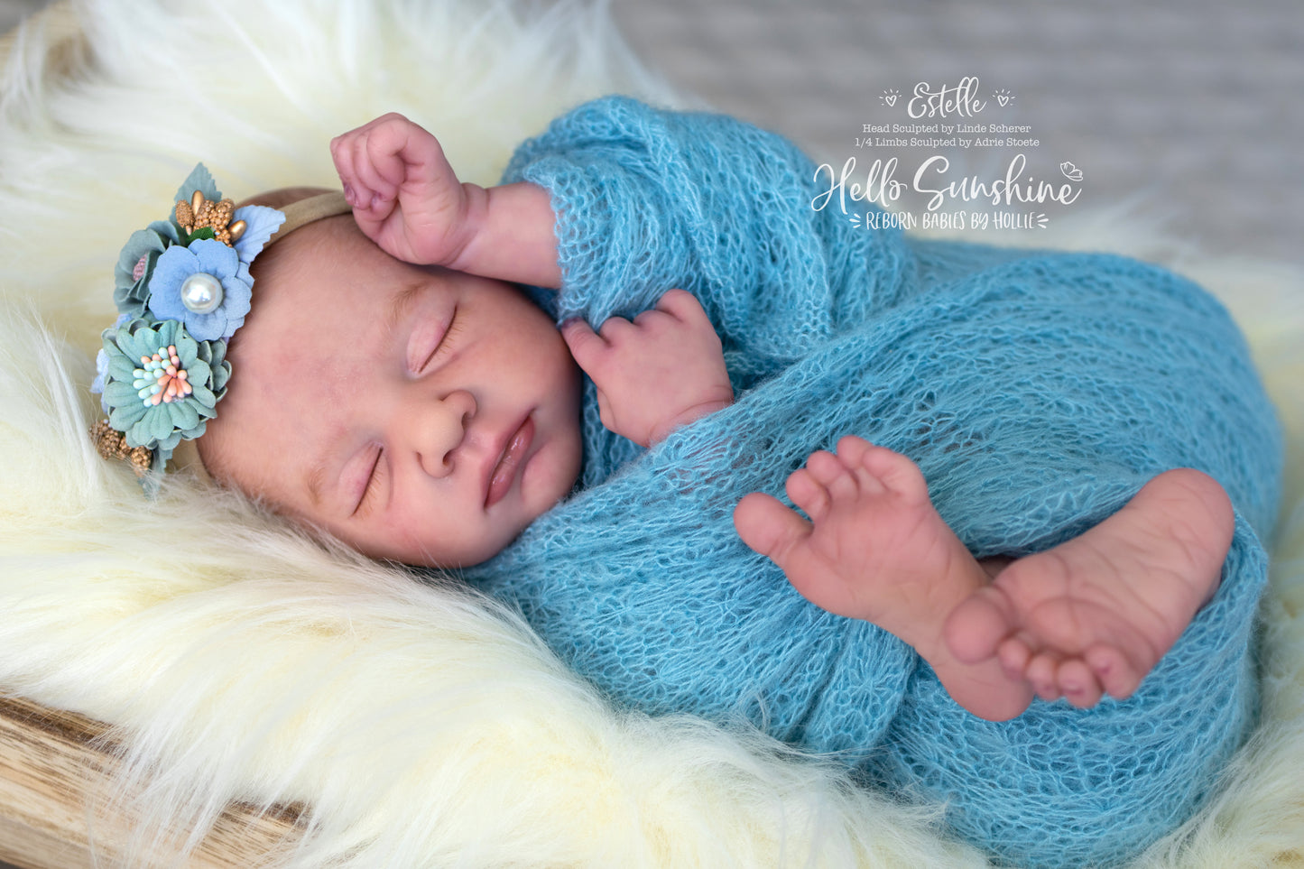 Estelle {1/4 Limb Cuddle}