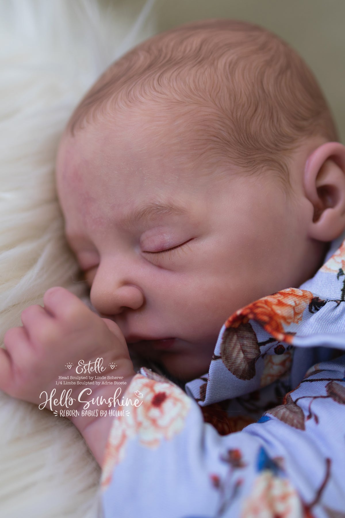 Estelle {1/4 Limb Cuddle}