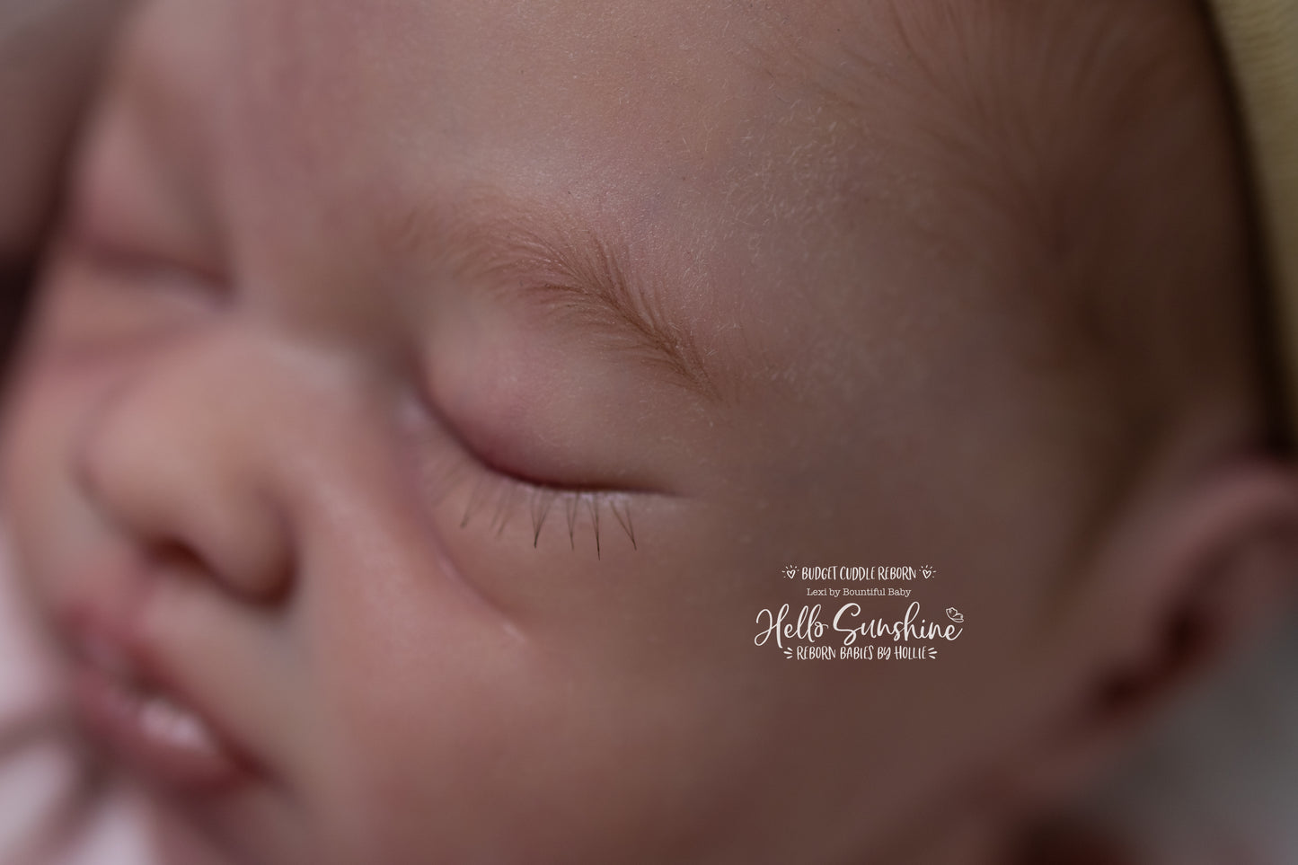 Lexi {Budget Cuddle Reborn}