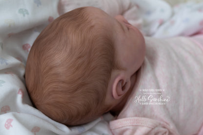 Lexi {Budget Cuddle Reborn}