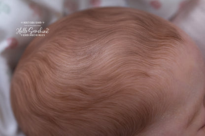 Lexi {Budget Cuddle Reborn}