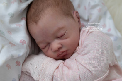 Lexi {Budget Cuddle Reborn}