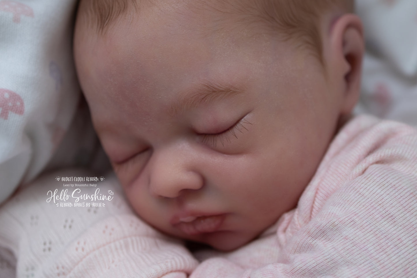Lexi {Budget Cuddle Reborn}