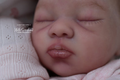 Lexi {Budget Cuddle Reborn}