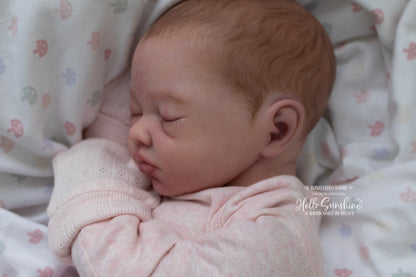 Lexi {Budget Cuddle Reborn}