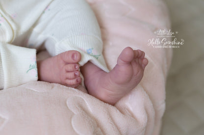 Little Lisa (1/4 Limb Cuddle)